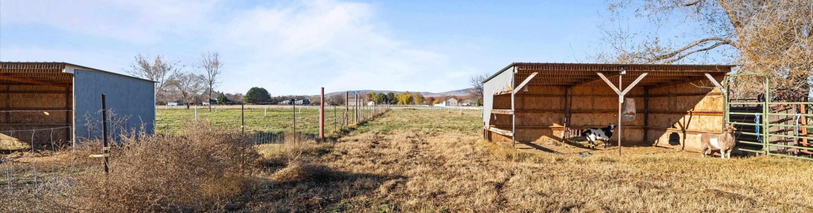 Snively, West Richland, Washington 99353, 3 Bedrooms Bedrooms, 0 ,3 BathroomsBathrooms,Houses,For Sale,Snively,0,289155