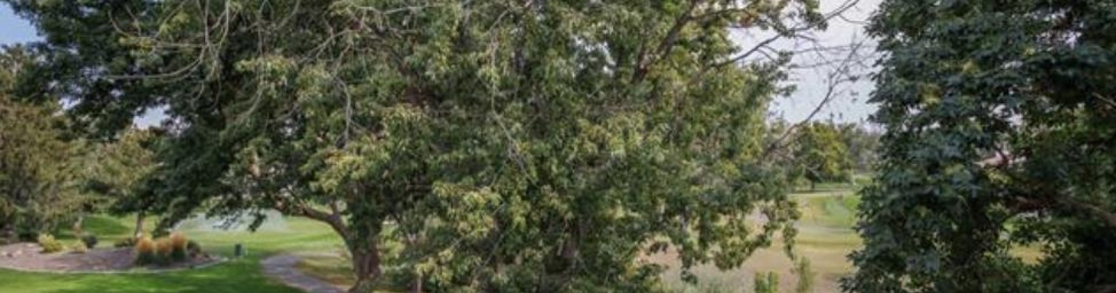 Gage Blvd #209, Richland, Washington 99352, 2 Bedrooms Bedrooms, 0 ,2 BathroomsBathrooms,Houses,For Sale,Gage Blvd #209,0,288205