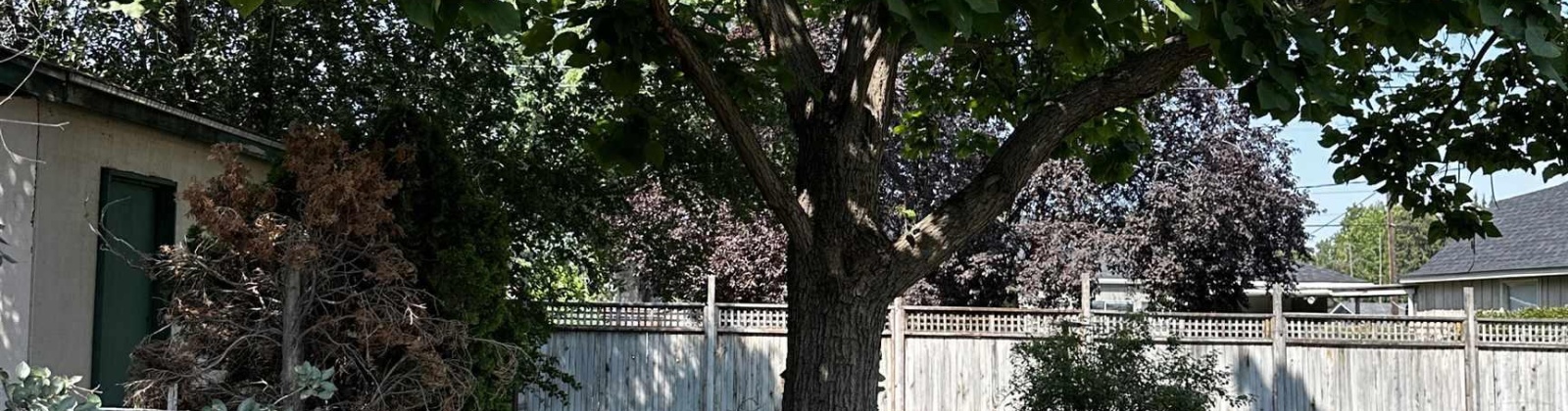 Dawes, Kennewick, Washington 99336, 5 Bedrooms Bedrooms, 0 ,3 BathroomsBathrooms,Multi-family,For Sale,Dawes,0,289170