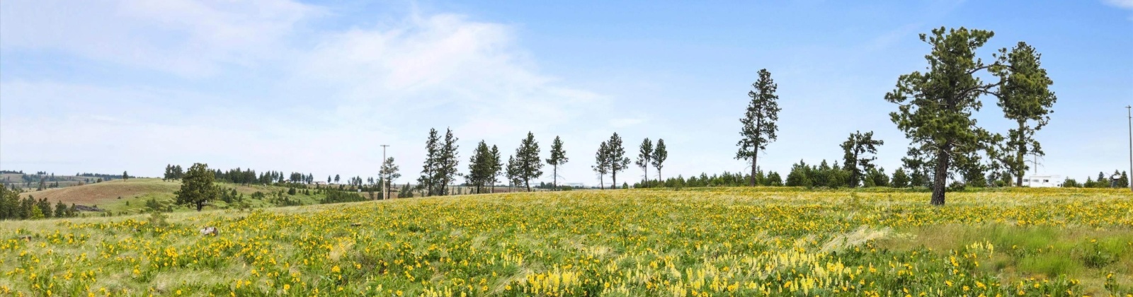 Reservoir Lane, Pomeroy, Washington 99347, 0 , 0 ,0,Land/lots,For Sale,Reservoir Lane,0,286909