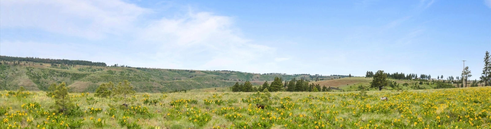 Reservoir Lane, Pomeroy, Washington 99347, 0 , 0 ,0,Land/lots,For Sale,Reservoir Lane,0,286909