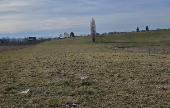 Dekker Rd., Outlook, Washington 98938, 0 , 0 ,0,Agricultural Land,For Sale,Dekker Rd.,0,289218