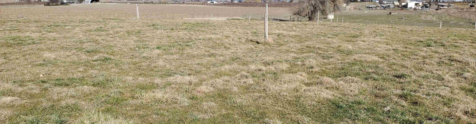 Dekker Rd., Outlook, Washington 98938, 0 , 0 ,0,Agricultural Land,For Sale,Dekker Rd.,0,289218