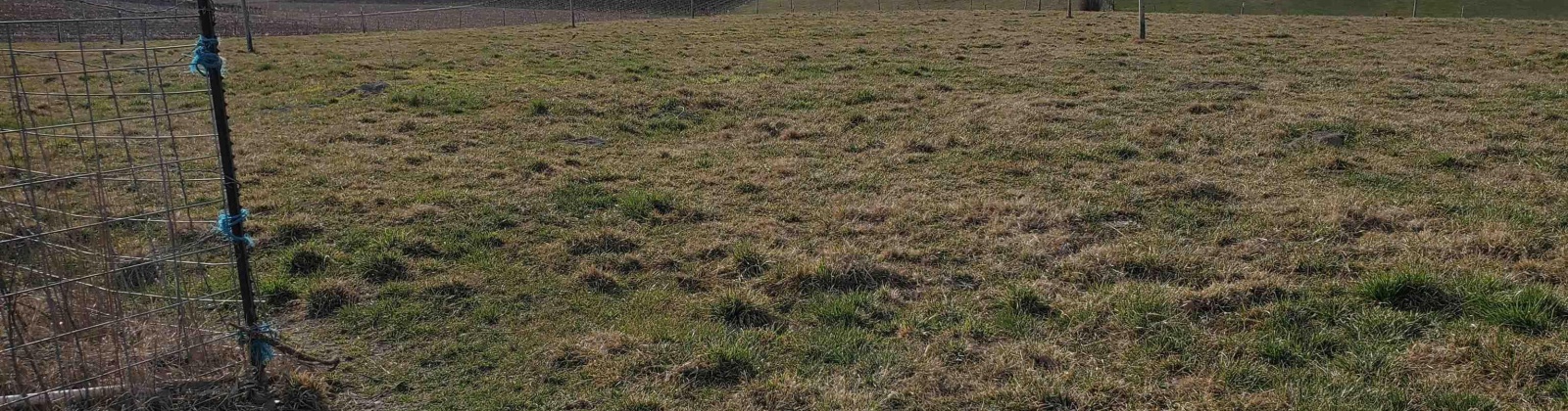 Dekker Rd., Outlook, Washington 98938, 0 , 0 ,0,Agricultural Land,For Sale,Dekker Rd.,0,289218