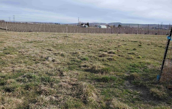 Dekker Rd, Outlook, Washington 98938, 0 , 0 ,0,Agricultural Land,For Sale,Dekker Rd,0,289217