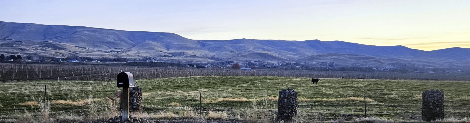 North River Rd, Prosser, Washington 99350, 3 Bedrooms Bedrooms, 0 ,2 BathroomsBathrooms,Manufactured Homes,For Sale,North River Rd,0,289243