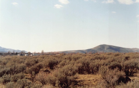 Section 8 Willamette Heights Lot 94, West Richland, Washington 99353, 0 , 0 ,0,Land/lots,For Sale,Section 8 Willamette Heights Lot 94,0,289266