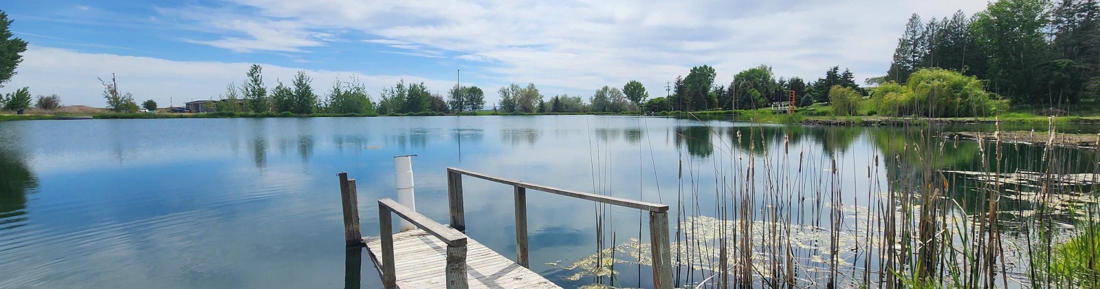 Fir Rd, Eltopia, Washington 99330-9768, 5 Bedrooms Bedrooms, 0 ,2 BathroomsBathrooms,Houses,For Sale,Fir Rd,0,289318