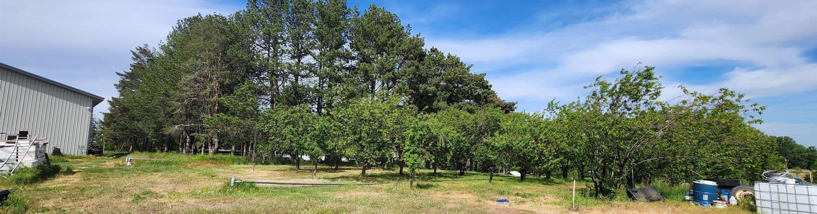 Fir Rd, Eltopia, Washington 99330-9768, 5 Bedrooms Bedrooms, 0 ,2 BathroomsBathrooms,Houses,For Sale,Fir Rd,0,289318