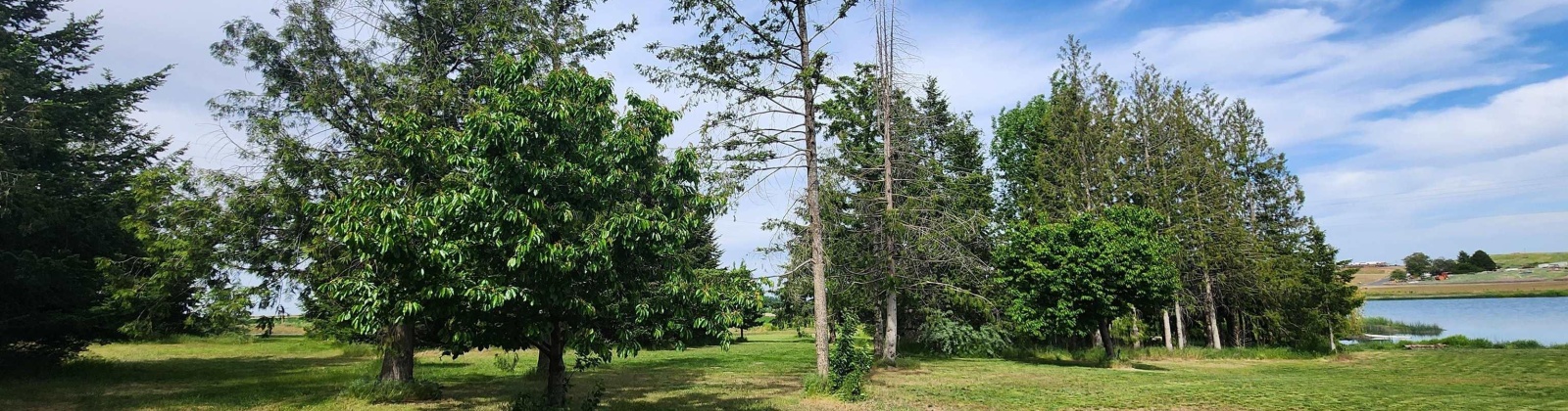 Fir Rd, Eltopia, Washington 99330-9768, 5 Bedrooms Bedrooms, 0 ,2 BathroomsBathrooms,Houses,For Sale,Fir Rd,0,289318