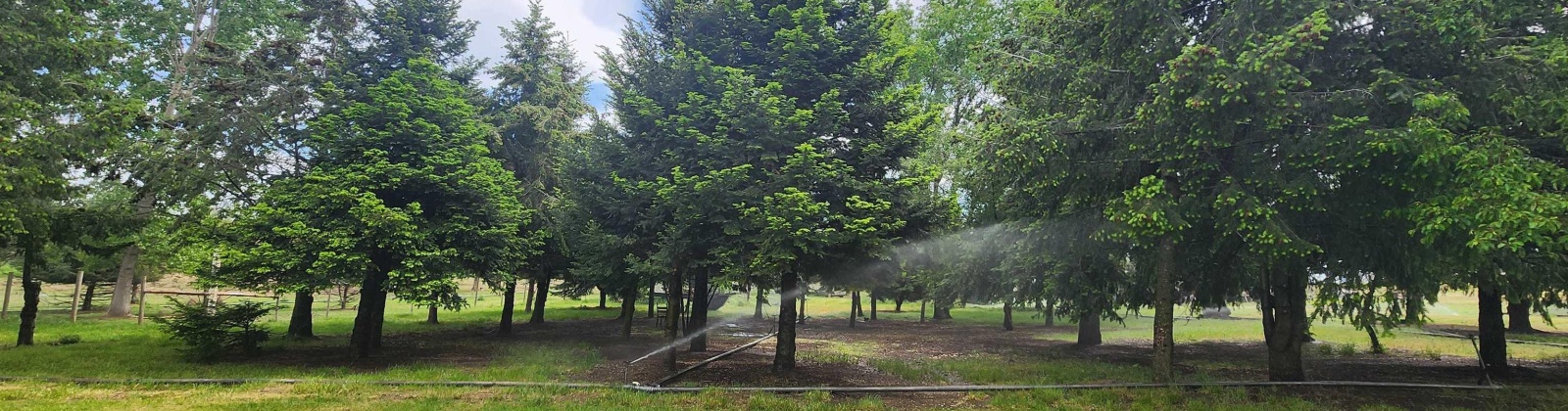 Fir Rd, Eltopia, Washington 99330-9768, 5 Bedrooms Bedrooms, 0 ,2 BathroomsBathrooms,Houses,For Sale,Fir Rd,0,289318