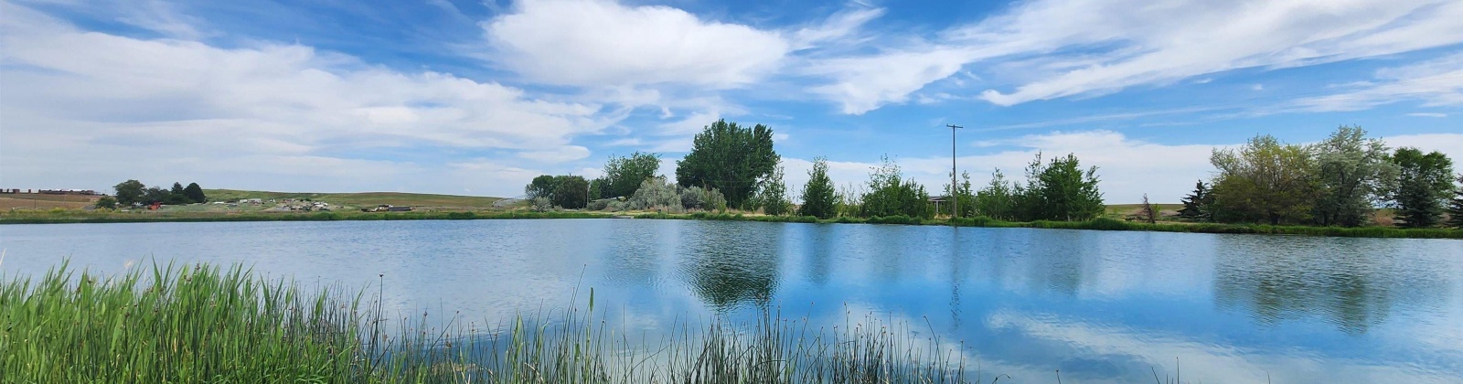 Fir Rd, Eltopia, Washington 99330-9768, 5 Bedrooms Bedrooms, 0 ,2 BathroomsBathrooms,Houses,For Sale,Fir Rd,0,289318