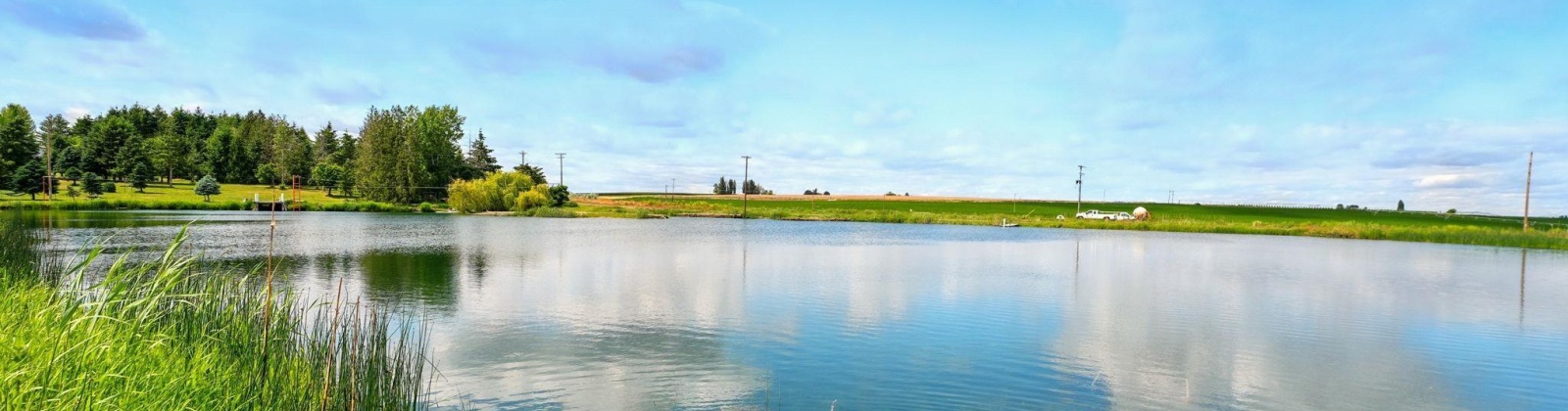 Fir Rd, Eltopia, Washington 99330-9768, 5 Bedrooms Bedrooms, 0 ,2 BathroomsBathrooms,Houses,For Sale,Fir Rd,0,289318