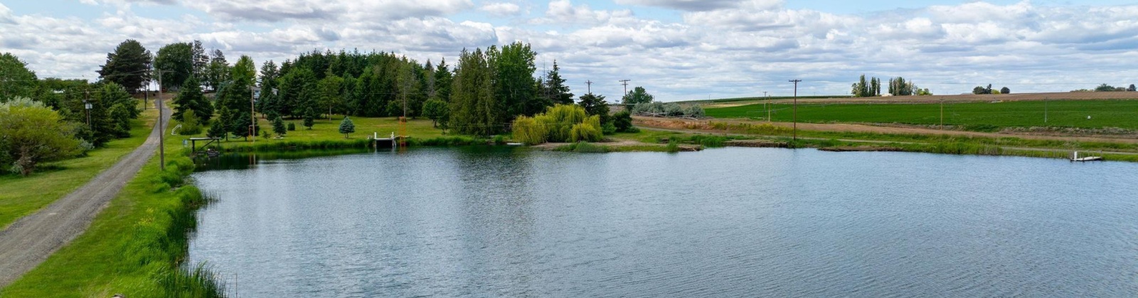 Fir Rd, Eltopia, Washington 99330-9768, 5 Bedrooms Bedrooms, 0 ,2 BathroomsBathrooms,Houses,For Sale,Fir Rd,0,289318