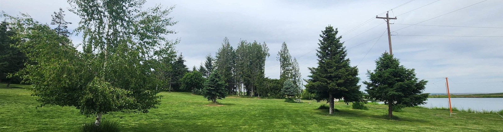 Fir Rd, Eltopia, Washington 99330-9768, 5 Bedrooms Bedrooms, 0 ,2 BathroomsBathrooms,Houses,For Sale,Fir Rd,0,289318