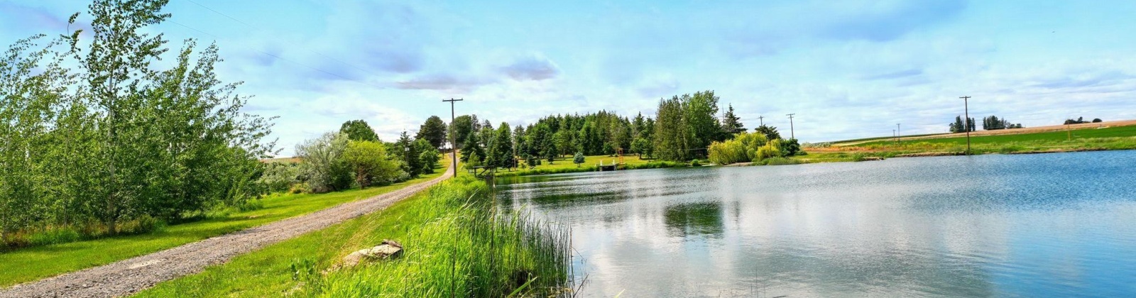 Fir Rd, Eltopia, Washington 99330-9768, 5 Bedrooms Bedrooms, 0 ,2 BathroomsBathrooms,Houses,For Sale,Fir Rd,0,289318