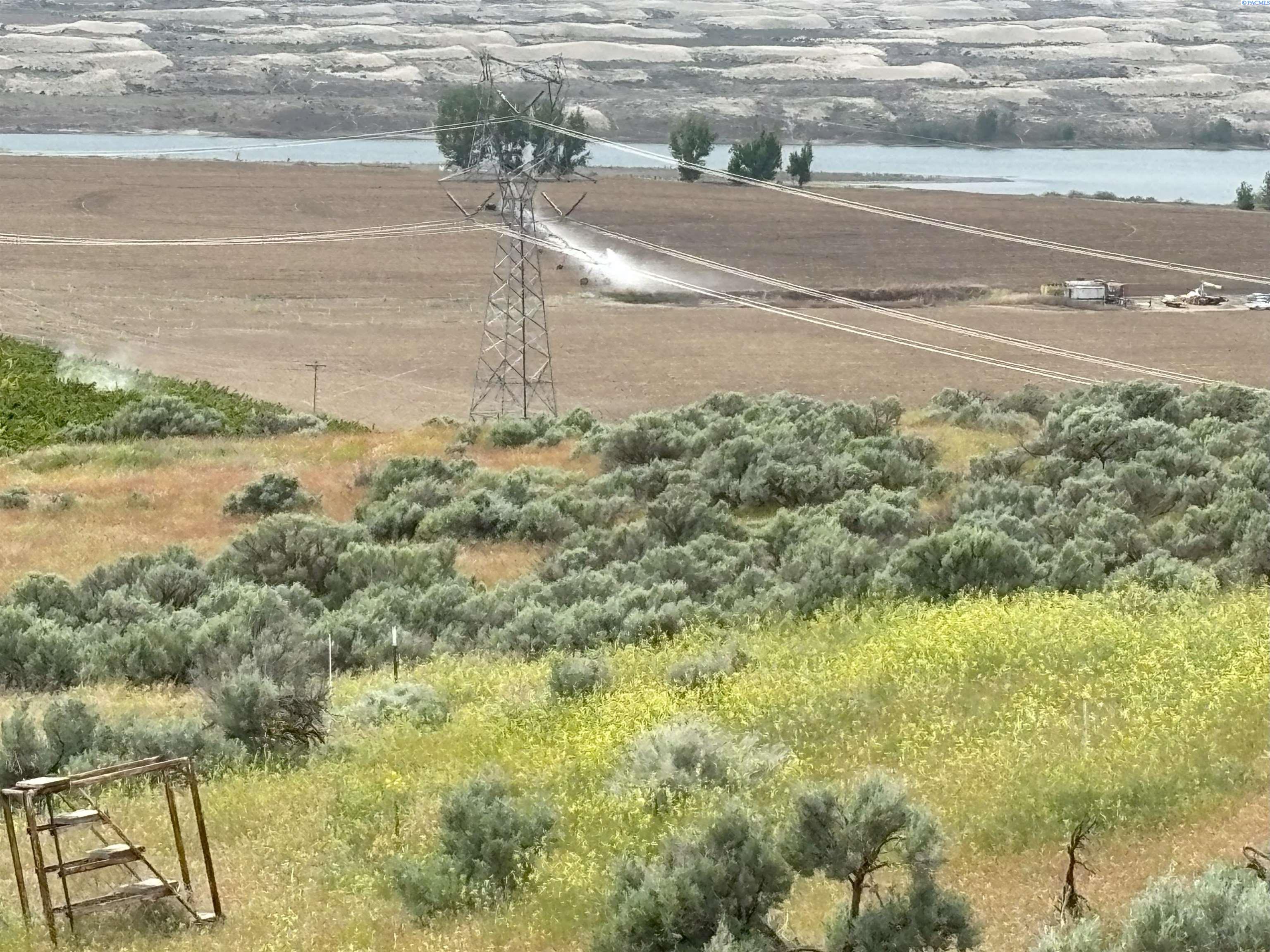 Ringold Road, Eltopia, Washington 99330-0000, 0 , 0 ,0,Agricultural Land,For Sale,Ringold Road,0,289320