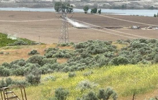 Agricultural Land For Sale