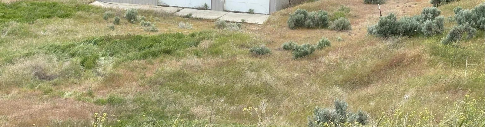 Ringold Road, Eltopia, Washington 99330-0000, 0 , 0 ,0,Agricultural Land,For Sale,Ringold Road,0,289320