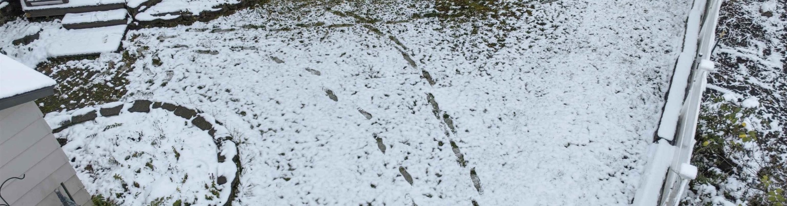 Turner Dr, Pullman, Washington 99163, 3 Bedrooms Bedrooms, 0 ,3 BathroomsBathrooms,Houses,For Sale,Turner Dr,0,289343