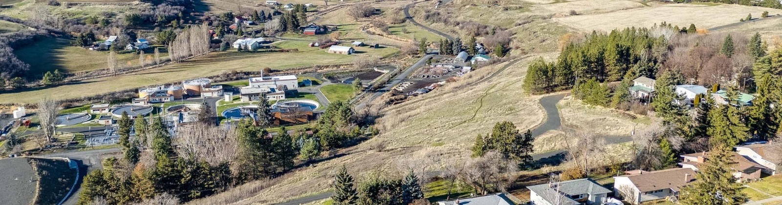 Clifford St, Pullman, Washington 99163, 4 Bedrooms Bedrooms, 0 ,2 BathroomsBathrooms,Houses,For Sale,Clifford St,0,289428