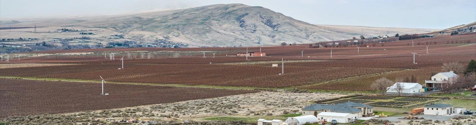 SR 224, Benton City, Washington 99320, 5 Bedrooms Bedrooms, 0 ,2 BathroomsBathrooms,Houses,For Sale,SR 224,0,289448