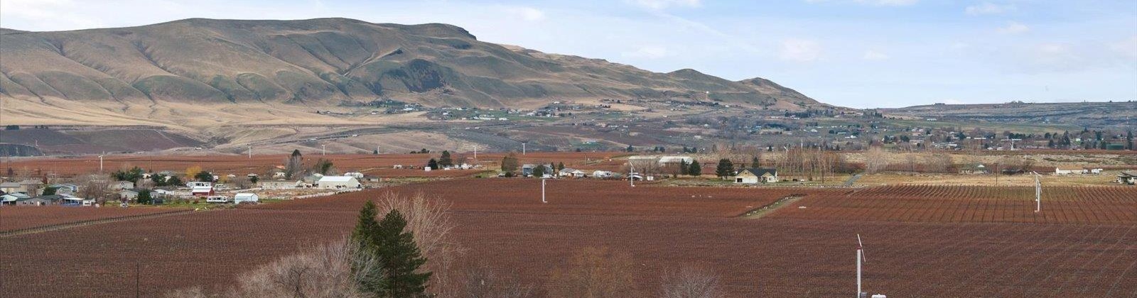 SR 224, Benton City, Washington 99320, 5 Bedrooms Bedrooms, 0 ,2 BathroomsBathrooms,Houses,For Sale,SR 224,0,289448