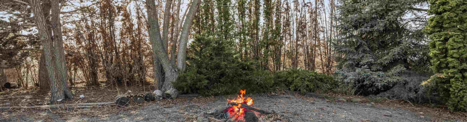 Edith St, Burbank, Washington 99323, 3 Bedrooms Bedrooms, 0 ,2 BathroomsBathrooms,Houses,For Sale,Edith St,0,289457