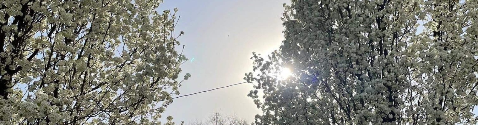 Hyde Road, Richland, Washington 99354, 3 Bedrooms Bedrooms, 0 ,4 BathroomsBathrooms,Houses,For Sale,Hyde Road,0,288167