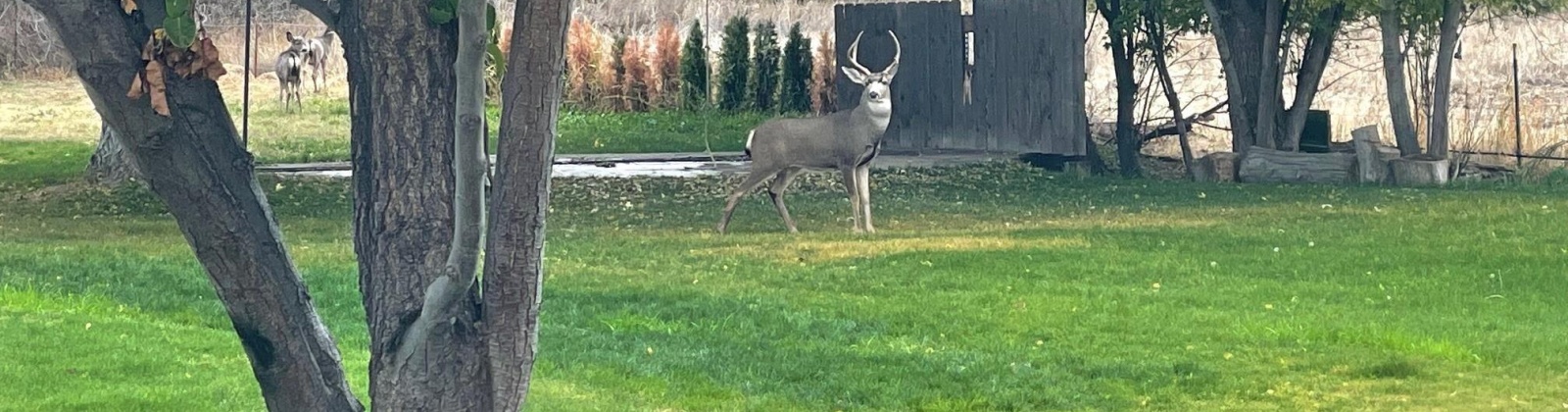 Hyde Road, Richland, Washington 99354, 3 Bedrooms Bedrooms, 0 ,4 BathroomsBathrooms,Houses,For Sale,Hyde Road,0,288167