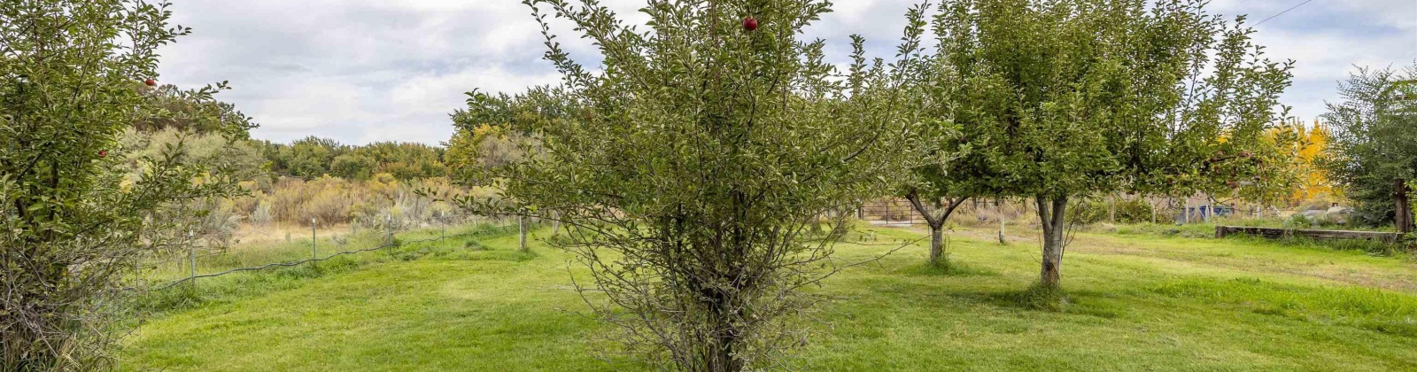 Hyde Road, Richland, Washington 99354, 3 Bedrooms Bedrooms, 0 ,4 BathroomsBathrooms,Houses,For Sale,Hyde Road,0,288167