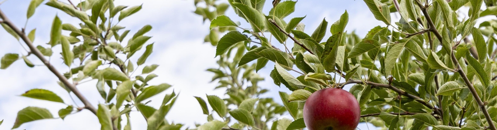 Hyde Road, Richland, Washington 99354, 3 Bedrooms Bedrooms, 0 ,4 BathroomsBathrooms,Houses,For Sale,Hyde Road,0,288167