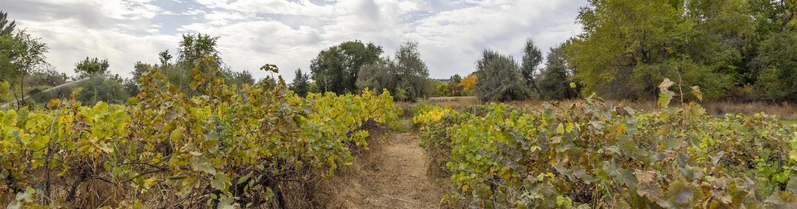 Hyde Road, Richland, Washington 99354, 3 Bedrooms Bedrooms, 0 ,4 BathroomsBathrooms,Houses,For Sale,Hyde Road,0,288167