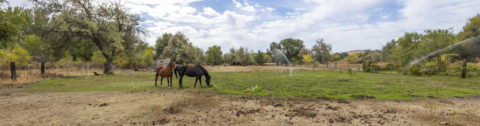 Hyde Road, Richland, Washington 99354, 3 Bedrooms Bedrooms, 0 ,4 BathroomsBathrooms,Houses,For Sale,Hyde Road,0,288167