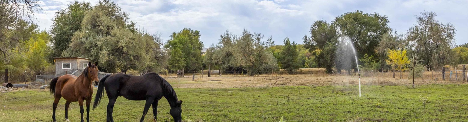 Hyde Road, Richland, Washington 99354, 3 Bedrooms Bedrooms, 0 ,4 BathroomsBathrooms,Houses,For Sale,Hyde Road,0,288167