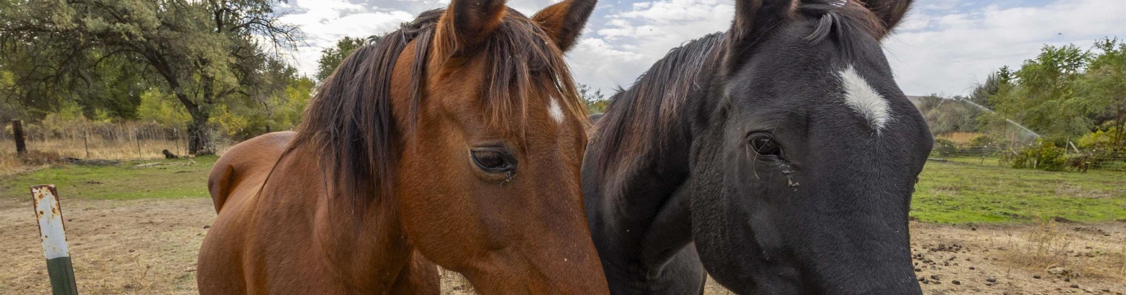 Hyde Road, Richland, Washington 99354, 3 Bedrooms Bedrooms, 0 ,4 BathroomsBathrooms,Houses,For Sale,Hyde Road,0,288167