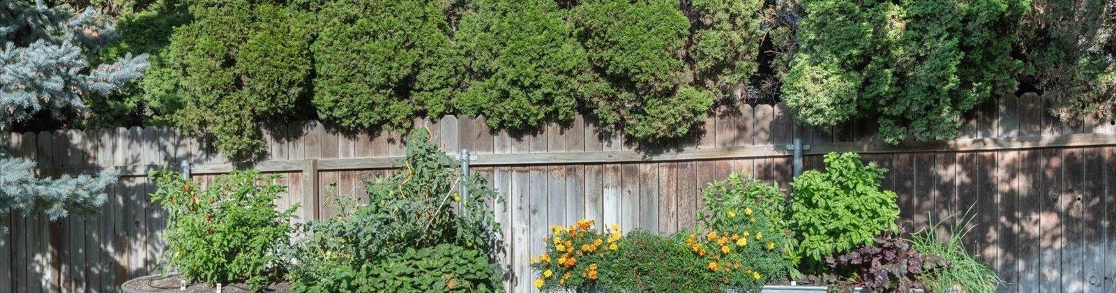 43rd Ct, Kennewick, Washington 99337, 4 Bedrooms Bedrooms, 0 ,3 BathroomsBathrooms,Houses,For Sale,43rd Ct,0,289479