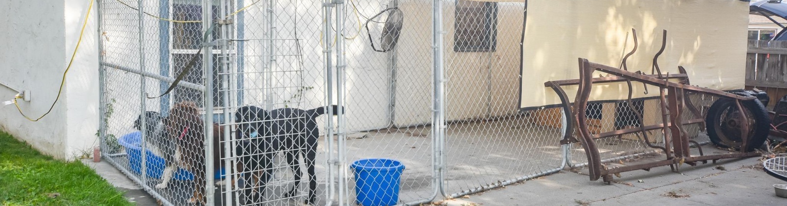 Grant Lp, West Richland, Washington 99354, 2 Bedrooms Bedrooms, 0 ,1 BathroomBathrooms,Houses,For Sale,Grant Lp,0,286375