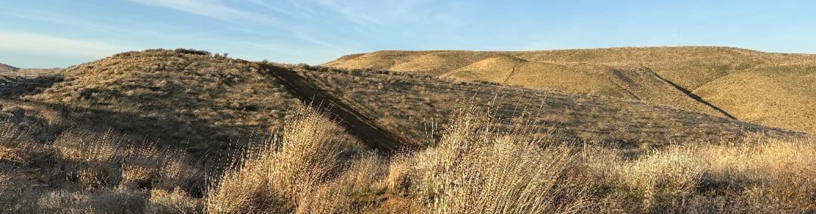 SR 397, Kennewick, Washington 99337, 0 , 0 ,0,Agricultural Land,For Sale,SR 397,0,289575