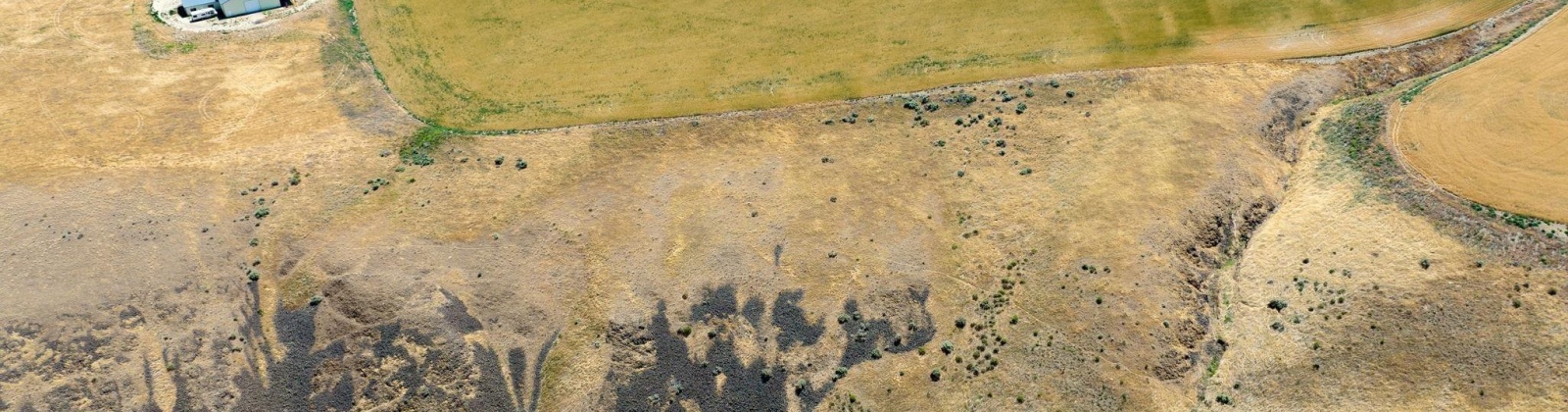 Glenn Miller PR SE, Kennewick, Washington 99338, 0 , 0 ,0,Special Use,For Sale,Glenn Miller PR SE,0,275775