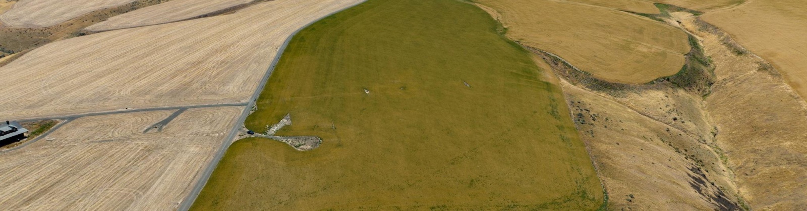 Glenn Miller PR SE, Kennewick, Washington 99338, 0 , 0 ,0,Special Use,For Sale,Glenn Miller PR SE,0,275775