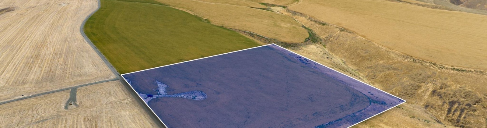 Glenn Miller PR SE, Kennewick, Washington 99338, 0 , 0 ,0,Special Use,For Sale,Glenn Miller PR SE,0,275775