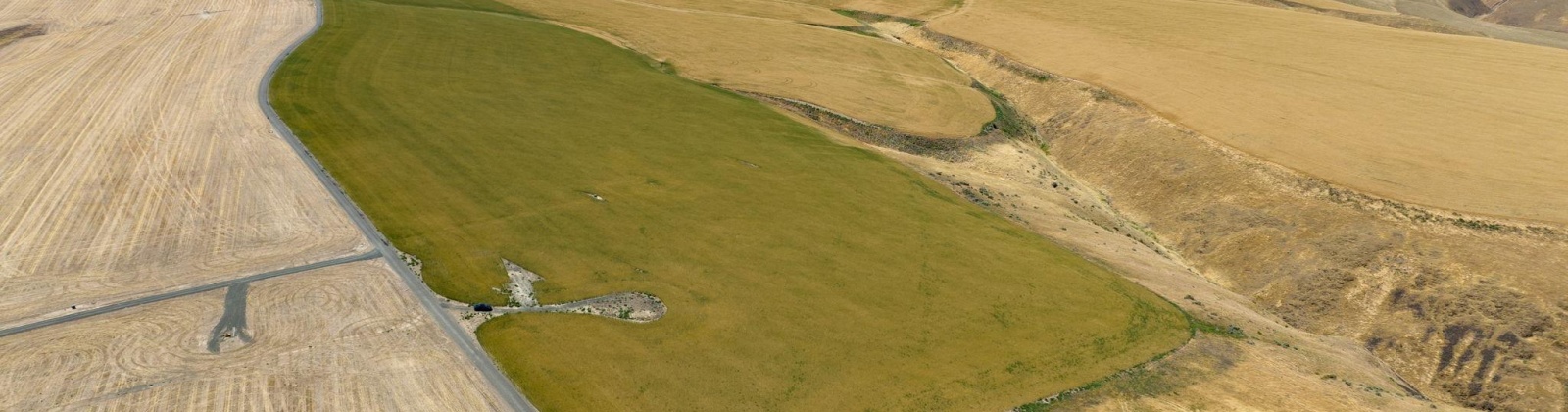 Glenn Miller PR SE, Kennewick, Washington 99338, 0 , 0 ,0,Special Use,For Sale,Glenn Miller PR SE,0,275775