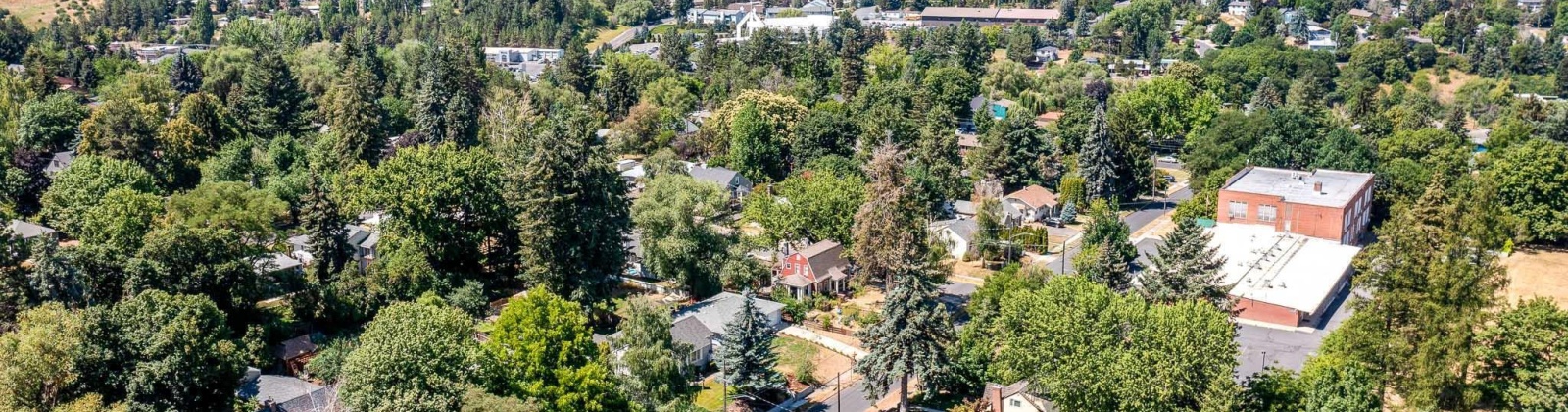 Dexter St, Pullman, Washington 99163, 3 Bedrooms Bedrooms, 0 ,2 BathroomsBathrooms,Houses,For Sale,Dexter St,0,289588