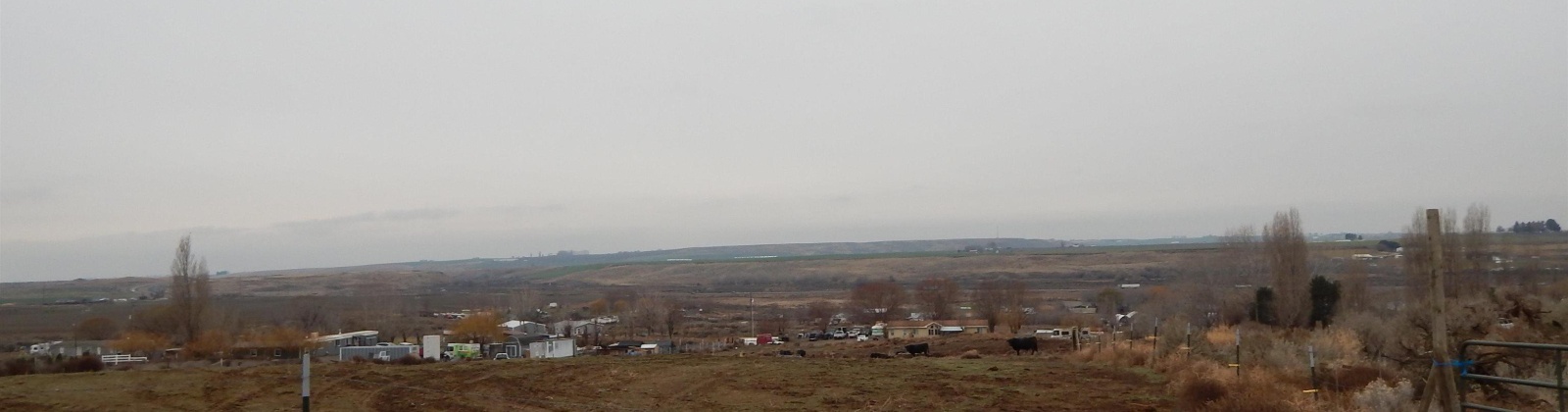 Rebecca Rd, Eltopia, Washington 99330, 0 , 0 ,0,Land/lots,For Sale,Rebecca Rd,0,289603