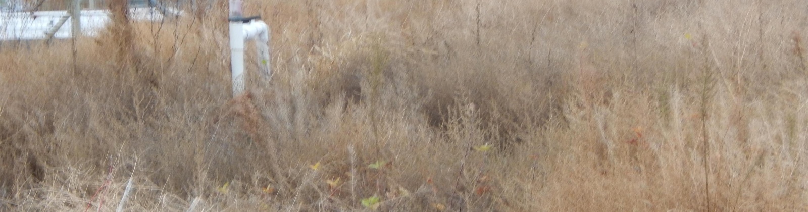 Rebecca Rd, Eltopia, Washington 99330, 0 , 0 ,0,Land/lots,For Sale,Rebecca Rd,0,289602