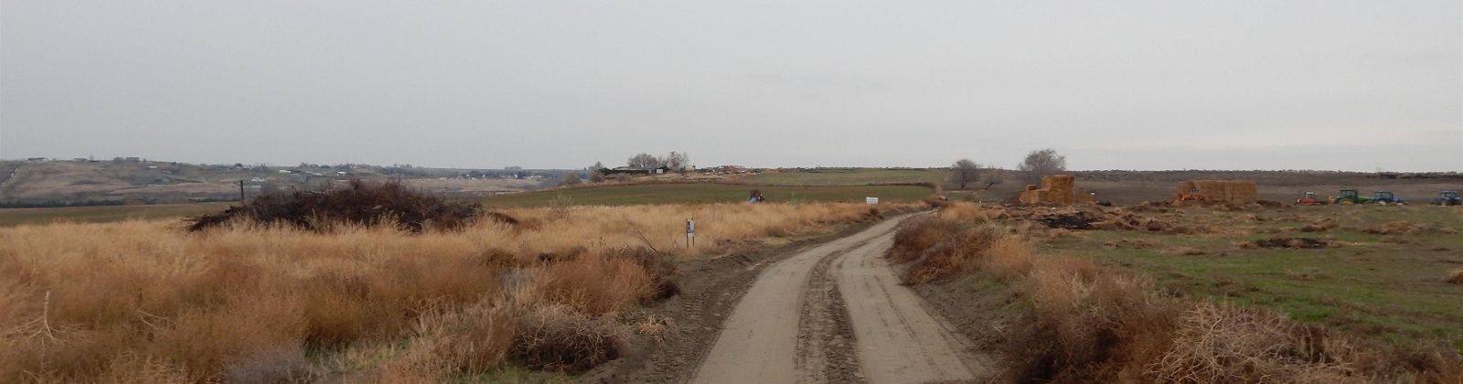 Rebecca Rd, Eltopia, Washington 99330, 0 , 0 ,0,Land/lots,For Sale,Rebecca Rd,0,289602