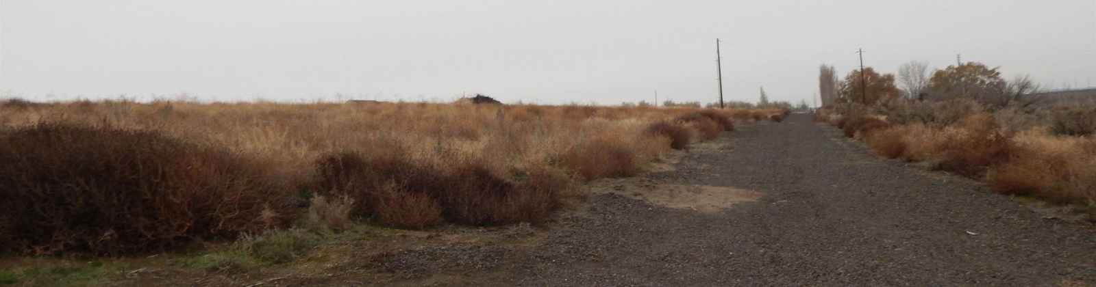 Rebecca Rd, Eltopia, Washington 99330, 0 , 0 ,0,Land/lots,For Sale,Rebecca Rd,0,289602