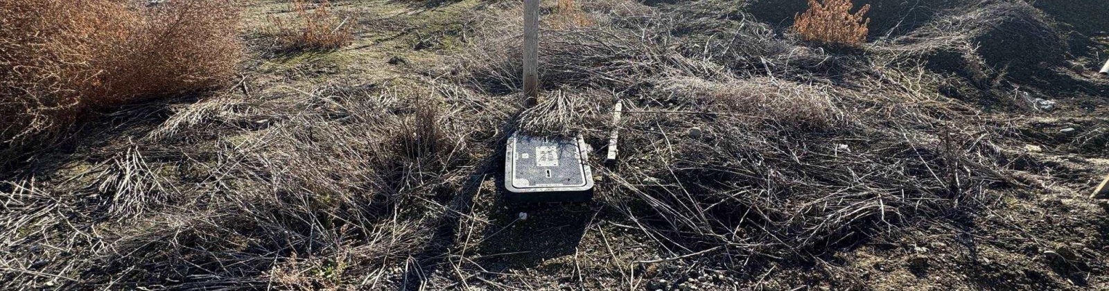 Ellen Ln, Zillah, Washington 98953, 0 , 0 ,0,Land/lots,For Sale,Ellen Ln,0,289649