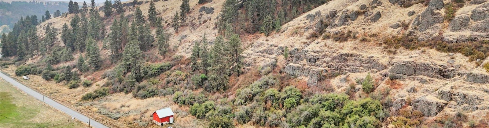 Palouse, Colfax, Washington 99111, 3 Bedrooms Bedrooms, 0 ,2 BathroomsBathrooms,Houses,For Sale,Palouse,0,289656